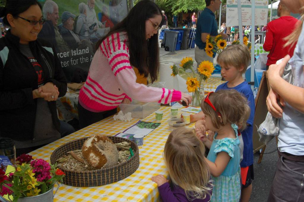 Volunteers at the childrens table at the Mercer Island Farmers Market teach kids how to plant sunflowers. Katie Metzger/staff photo