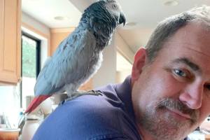 How to prepare for a disaster on Mercer Island | Guest Column