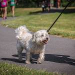 King County Sheriff’s deputies to patrol local parks