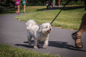 King County Sheriff’s deputies to patrol local parks