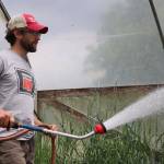 The many hurdles from farm to table