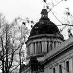 Concerns arise over Initiative 1639 petition format