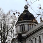 Concerns arise over Initiative 1639 petition format