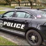 Suspect punches out car window, steals purse | Police blotter