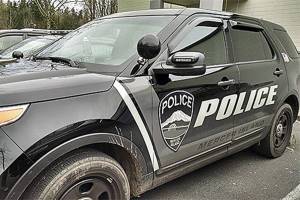 Suspect arrested after string of burglaries on the Island