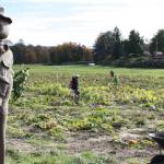 Where to pick up a pumpkin this October