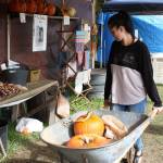 Where to pick up a pumpkin this October