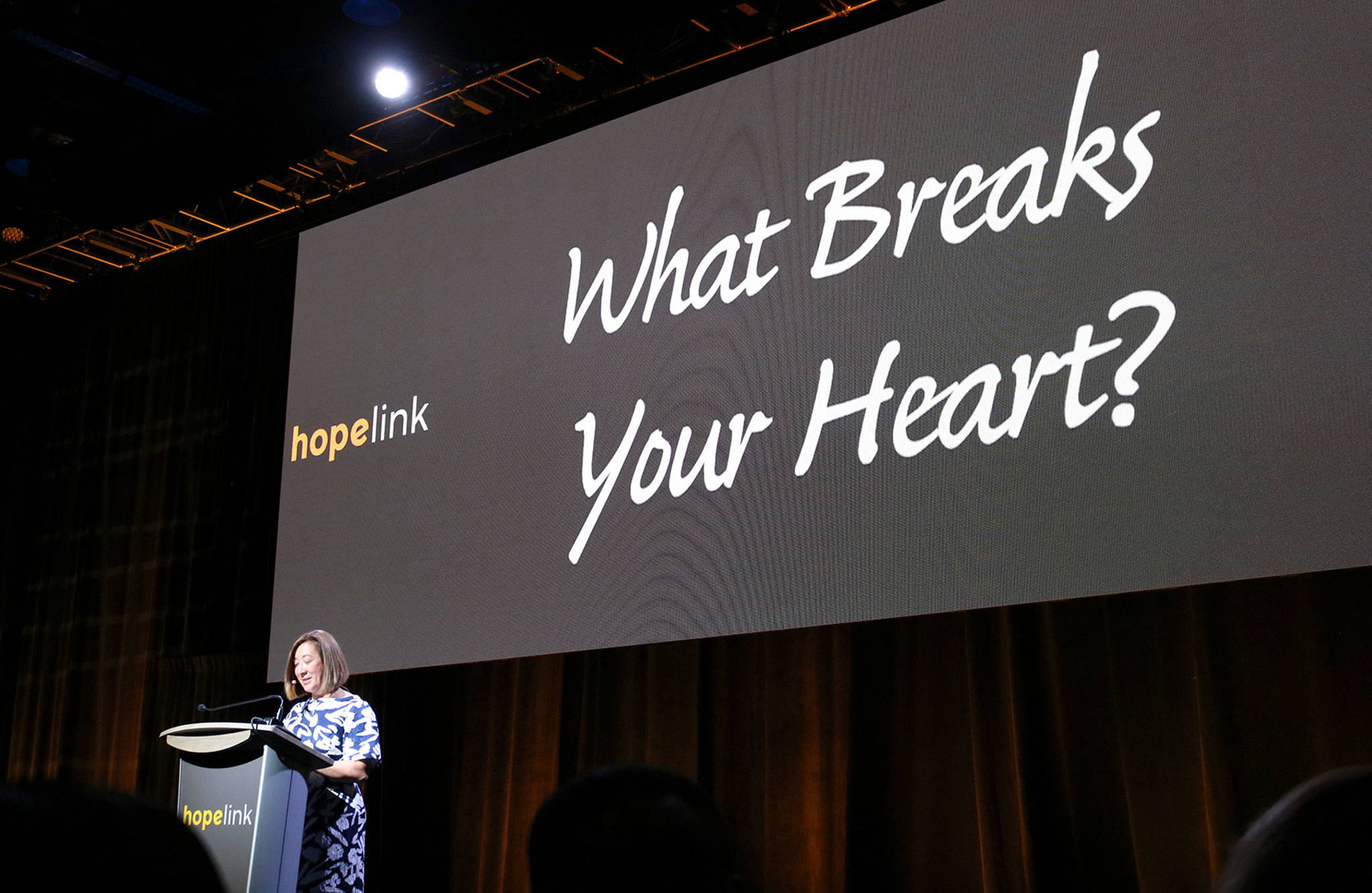 Hopelink CEO Lauren Thomas asks the attendees at Hopelinks 23rd annual Reaching Out luncheon to think about what breaks their heart. Katie Metzger/staff photo
