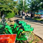 The city is asking Islanders to take a survey on its bike share pilot program, which lasted for three months this summer. Photo courtesy of the city of Mercer Island