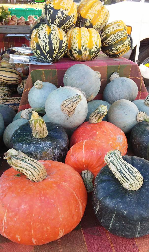 Stock up on seasonal goodies at the Mercer Island Harvest Market, set for 10 a.m. to 3 p.m. on Sunday, Nov. 18 at the north end of Mercerdale Park. Photo courtesy of Lora Liegel