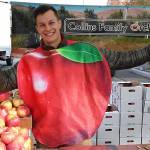 Harvest Market returns Nov. 18