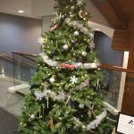 Mercer Island offers holiday tree recycling options