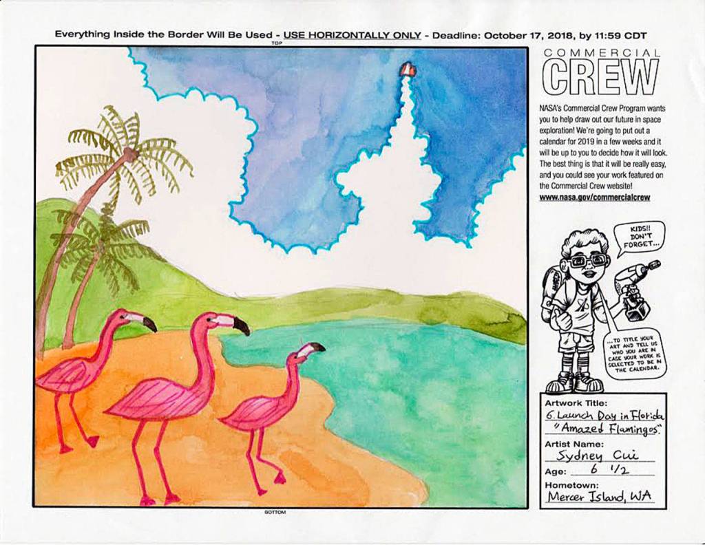 Sydney Cui, 6, wins NASAs Commercial Crew 2019 Childrens Artwork Calendar Contest. Her piece, Amazed Flamingos, is the border art for the month of June. Courtesy photo.