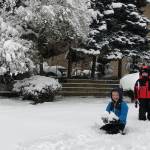 Mitchell Dudley, left, and Benny Erickson begin the frigid but exciting task of building a snow fort. Residents awoke on Monday, Feb. 4, to a blanket of snow, closed schools and icy roads. See story on Page 13. Photos by Greg Asimakoupoulos