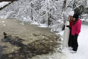 Christina, 16, and Caroline Crow, 14, watch mallards clearing space in the ice to swim on Ellis Pond. Photo courtesy of Meg Lippert