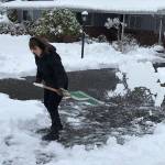 Joanne Kinsman flings snow off her shovel as she clears her driveway for the second time in two days. Its a good workout, she says. Photo courtesy of Meg Lippert