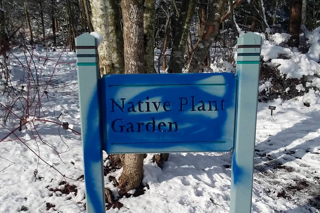 Sign found vandalized with spray paint in Mercerdale Park