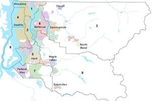 King County charter update targets police oversight, elections, council size