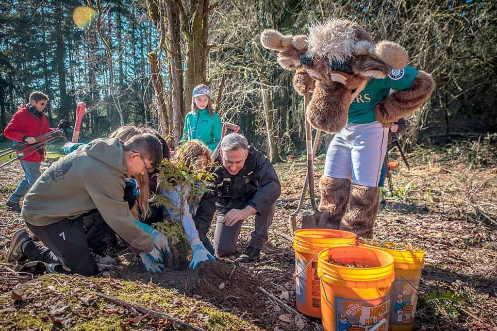 Volunteers gathered at Big Finn Hill Park in Kirkland for the ceremonial tree planting day on Feb 27. King County Executive Dow Constantine thanked everyone whos contributed to the milestone for the One Million Trees initiative. Photo courtesy of King County.