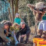 Volunteers gathered at Big Finn Hill Park in Kirkland for the ceremonial tree planting day on Feb 27. King County Executive Dow Constantine thanked everyone whos contributed to the milestone for the One Million Trees initiative. Photo courtesy of King County.