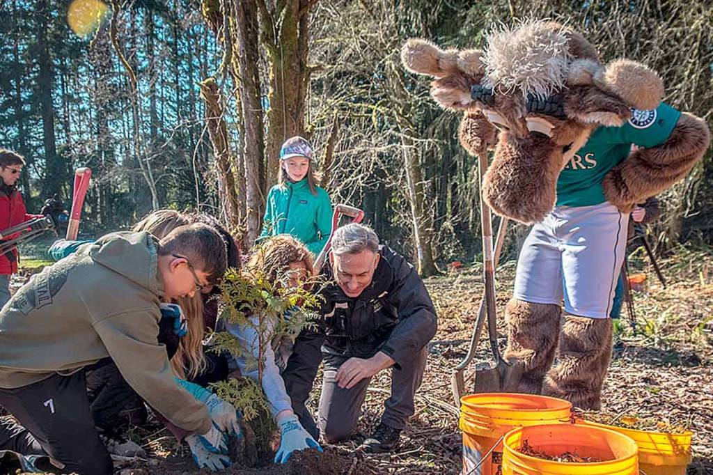 Volunteers gathered at Big Finn Hill Park in Kirkland for the ceremonial tree planting day on Feb 27. King County Executive Dow Constantine thanked everyone whos contributed to the milestone for the One Million Trees initiative. Photo courtesy of King County.