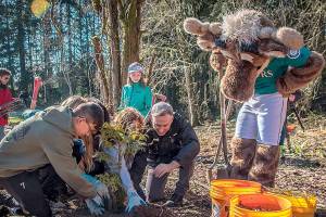 Volunteers gathered at Big Finn Hill Park in Kirkland for the ceremonial tree planting day on Feb 27. King County Executive Dow Constantine thanked everyone whos contributed to the milestone for the One Million Trees initiative. Photo courtesy of King County.