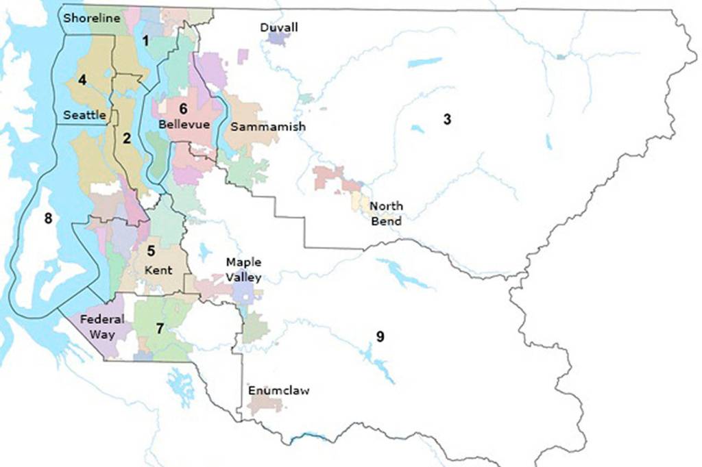 Courtesy of kingcounty.gov                                 King County Council has nine members who each represent a district.