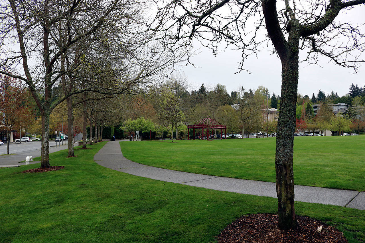 Kailan Manandic / staff photo                                 The Mercerdale Park remains free of development as the city and MICA focuses on a new location at the former Tullys Coffee site.