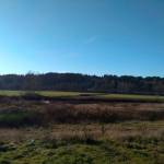 The Sammamish Valley was the focal point for a series of proposed regulatory changes to alcohol production facilities and tasting rooms across King County. Aaron Kunkler/staff photo