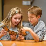 50 years on Mercer Island; Fostering community through the SJCC