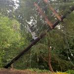 Parts of Mercer Island left without power after car collides with pole