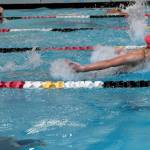Mercer Island senior Ellie Bailey (pink cap) and sophomore Austin Whelan (black cap) swim the 200-meter individual medley during the Islanders victory over Sammamish on Oct. 3. Photo courtesy of Allison Nelson