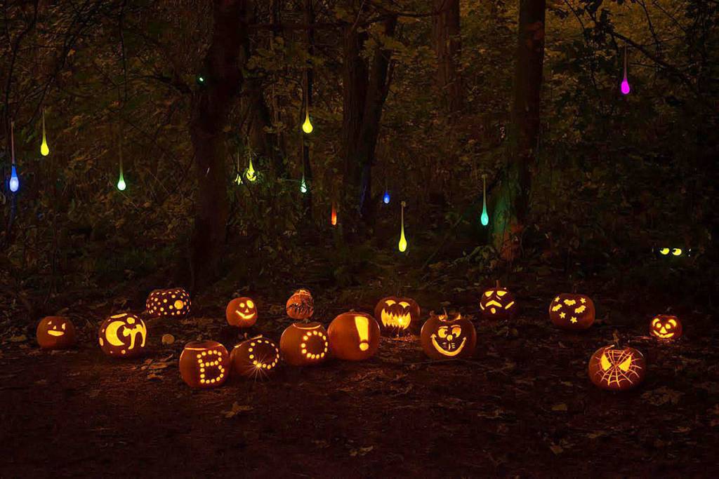 Photo courtesy of Amanda Colburn                                The Islands third Pumpkin Walk is set for Oct. 27 at Luther Burbank Park.