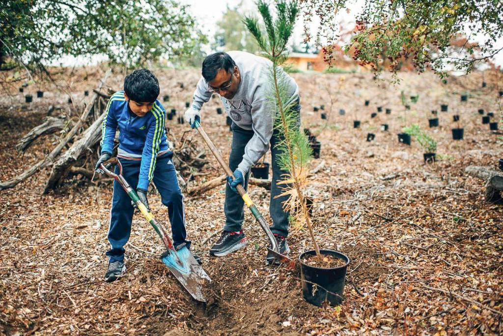 Courtesy photo                                Volunteers plant trees at the Mercer Islands 2018 inaugural Arbor Day celebration.