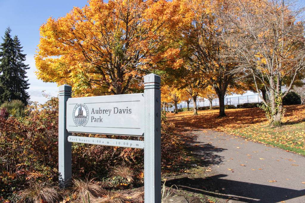 Natalie DeFord/staff photo.                                A bright fall day at Aubrey Davis Park on Mercer Island.