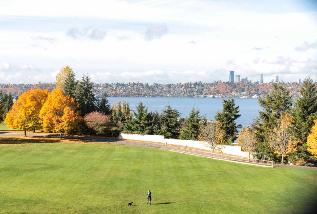 Natalie DeFord/staff photo.                                A bright fall day at Aubrey Davis Park on Mercer Island.