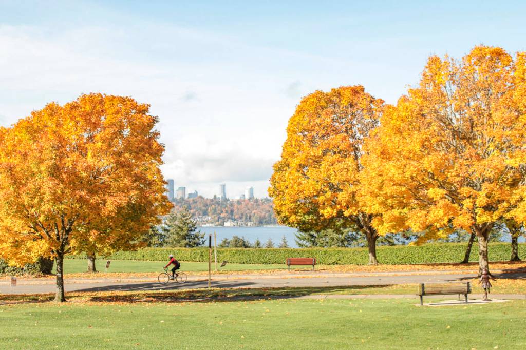 Natalie DeFord/staff photo.                                A bright fall day at Aubrey Davis Park on Mercer Island.