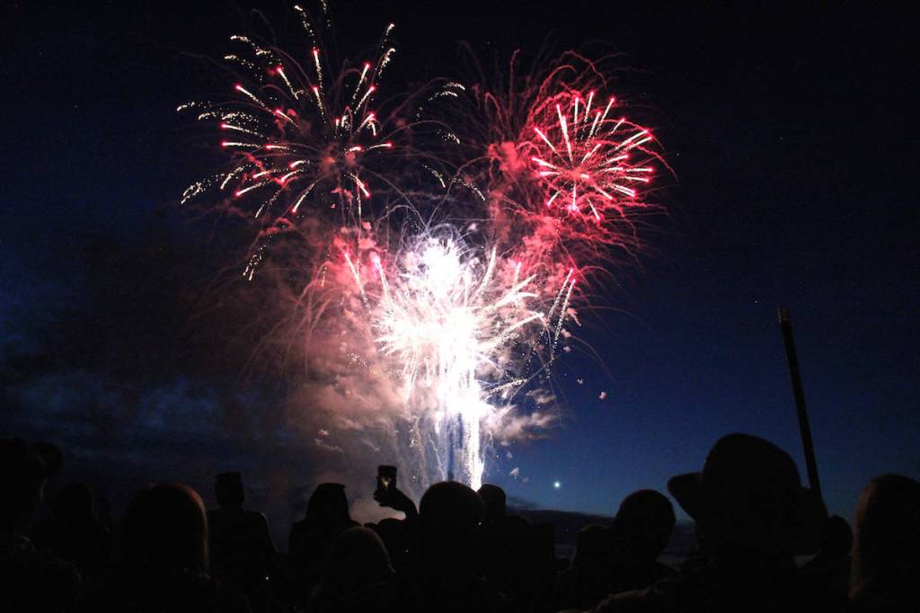 2019 saw wild animal and wild election