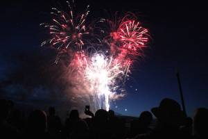 2019 saw wild animal and wild election