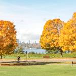 Aubrey Davis Park on Mercer Island in fall. Natalie DeFord/staff photo