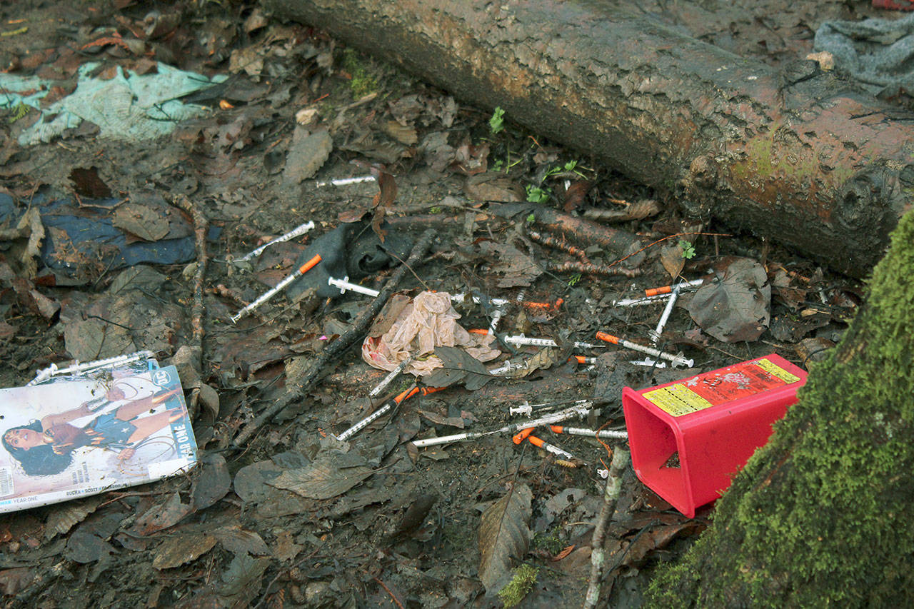 Needles littered the ground throughout a homeless encampment at Federal Ways Hylebos Wetlands, which is public property. Sound Publishing file photo