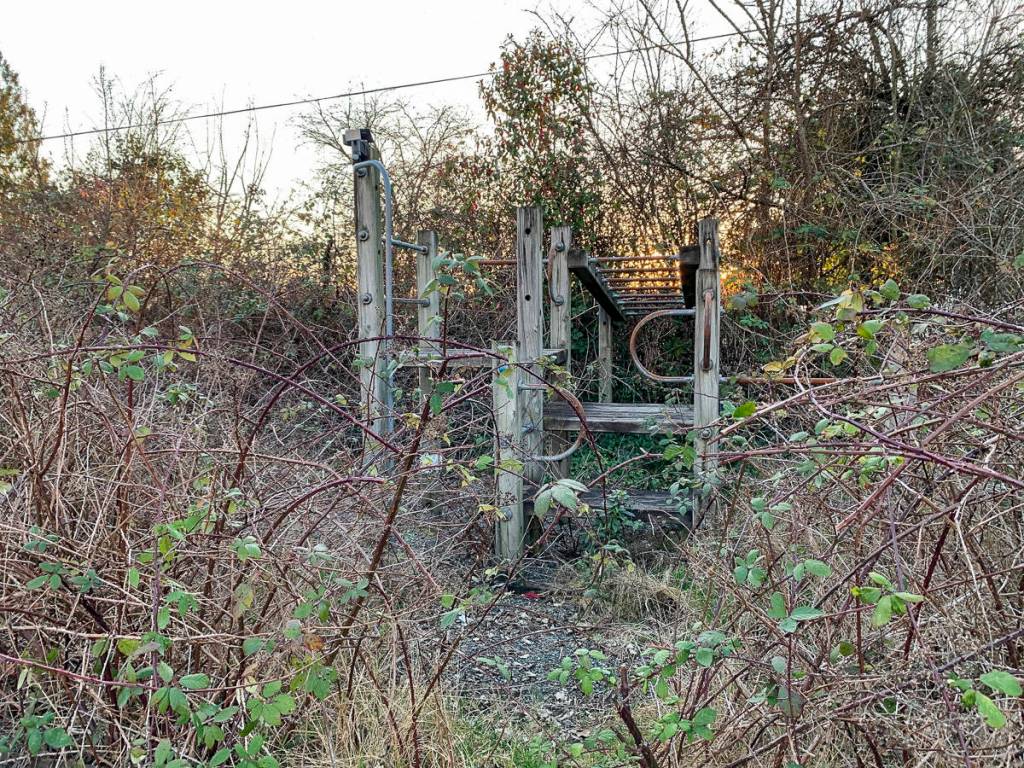 Thorns and overgrown plants block access to old playground equipment on the grounds of the former East Seattle Elementary School. Natalie DeFord/Staff photo