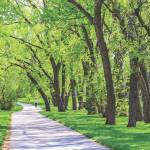 State announces limited opening of parks for day use