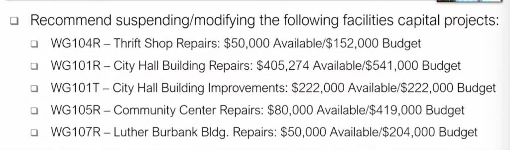 A detailed list of the capital projects that have been modified/postponed. Screenshot from recording presentation