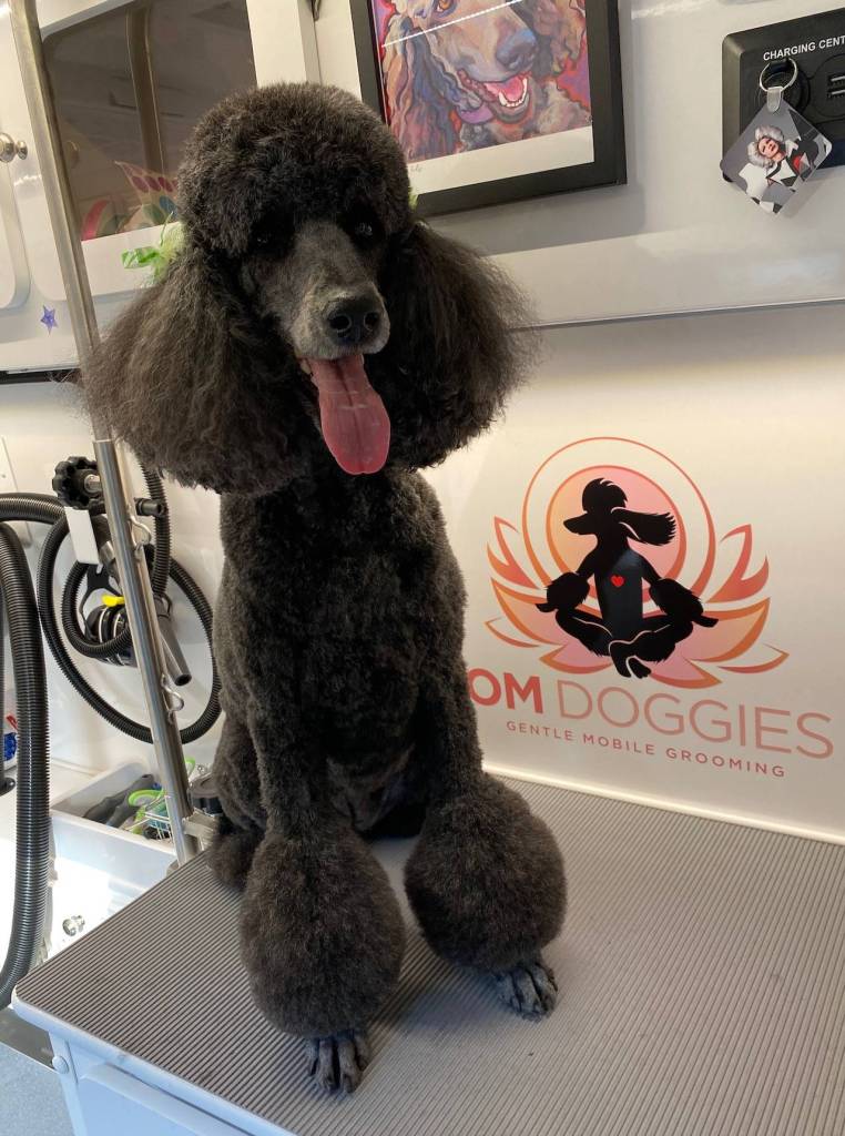 Harris said that her dog clients always receive care that prioritizes quality over quantity. Photo courtesy Tracy Harris