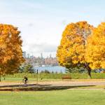 Aubrey Davis Park on Mercer Island in fall. Natalie DeFord/staff photo