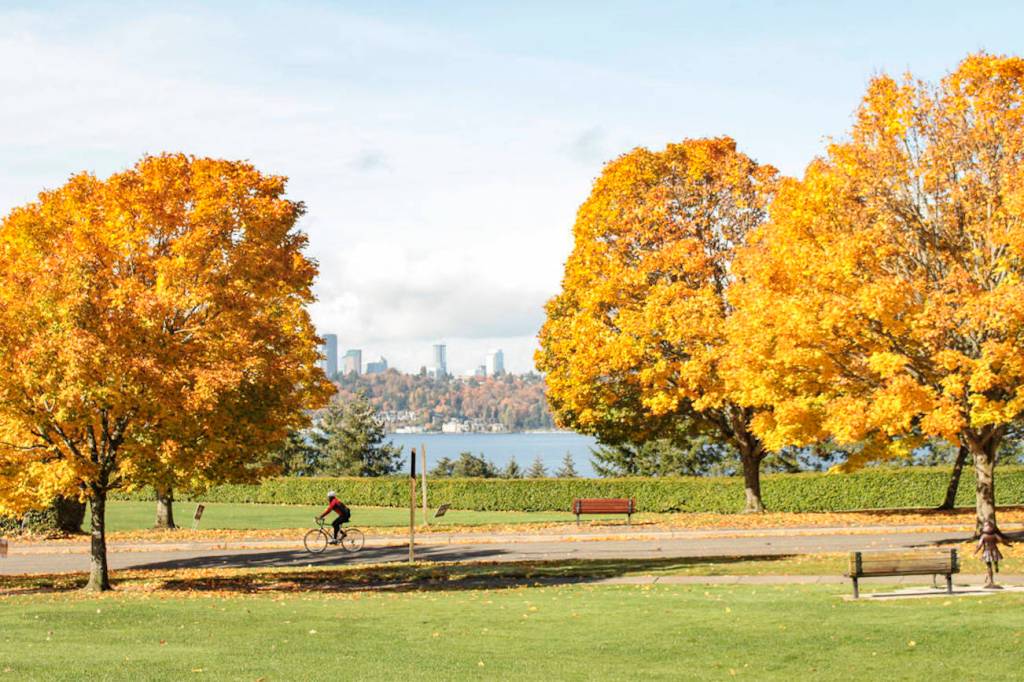 Aubrey Davis Park on Mercer Island in fall. Natalie DeFord/staff photo