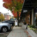 Colorful fall leaves flank downtown Mercer Island businesses on Oct. 22. Andy Nystrom/ Reporter