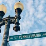 Photo by Greg Asimakoupoulos