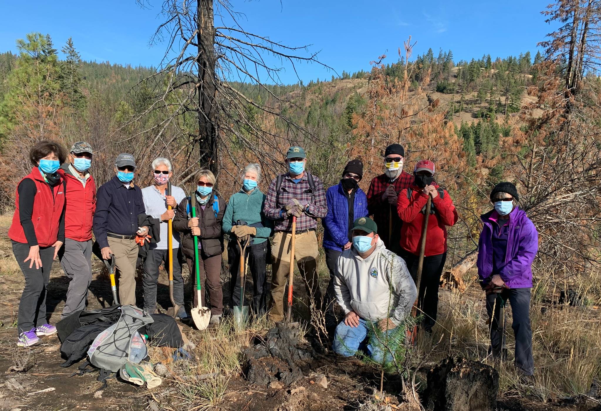 On Oct. 31, members of the Rotary Club of Mercer Island traveled to Okanogan-Wenatchee National Forest to help restore a partially burned area of the forest, motivated by the opportunity to protect the climate and the global life-support system. Within a few hours, 12 Rotarians and their friends planted 500 Douglas Fir seedlings where fires had done damage. The club purchased the seedlings in the spring of 2019. The seedlings wintered in the yard of Sam Sullivan, a Mercer Island resident and past president of the club, as well in Yogi and Eva Agrawals yard on Mercer Island. In 2019, Rotary members planted 500 seedlings along Goat Creek in Mount Baker-Snoqualmie National Forest. This is a continuation of that project. Rotary will hold a virtual presentation at 12:45 p.m. Nov. 24 featuring speaker Isaias Braga, captain of the Salvation Army Renton Corps. The meeting link is: https://us02web.zoom.us/j/4096976967. Photo courtesy of Terry Lee